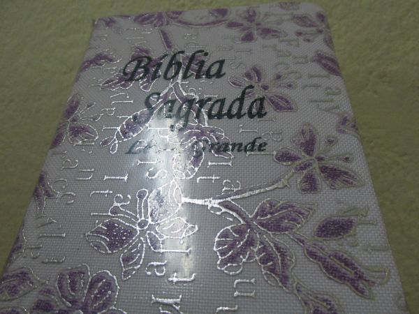 Bíblia Feminina -Capa Roxa